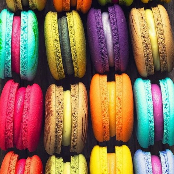 Meet your Posher, Agnieszka - Picture 1 of 1